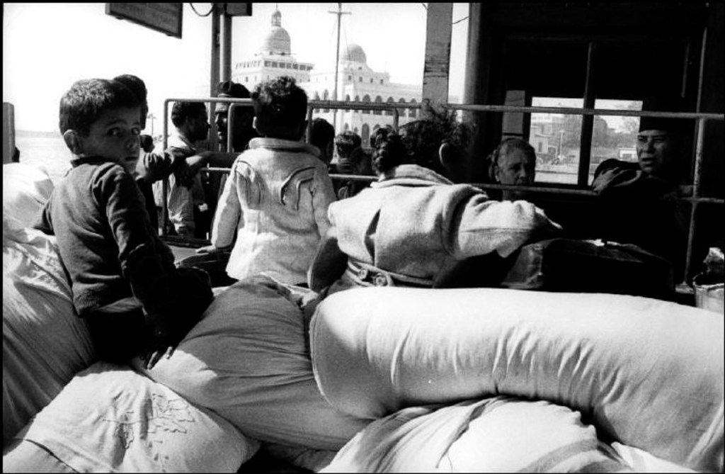 The jasmine’s alienation غربة&nbsp;الياسمين